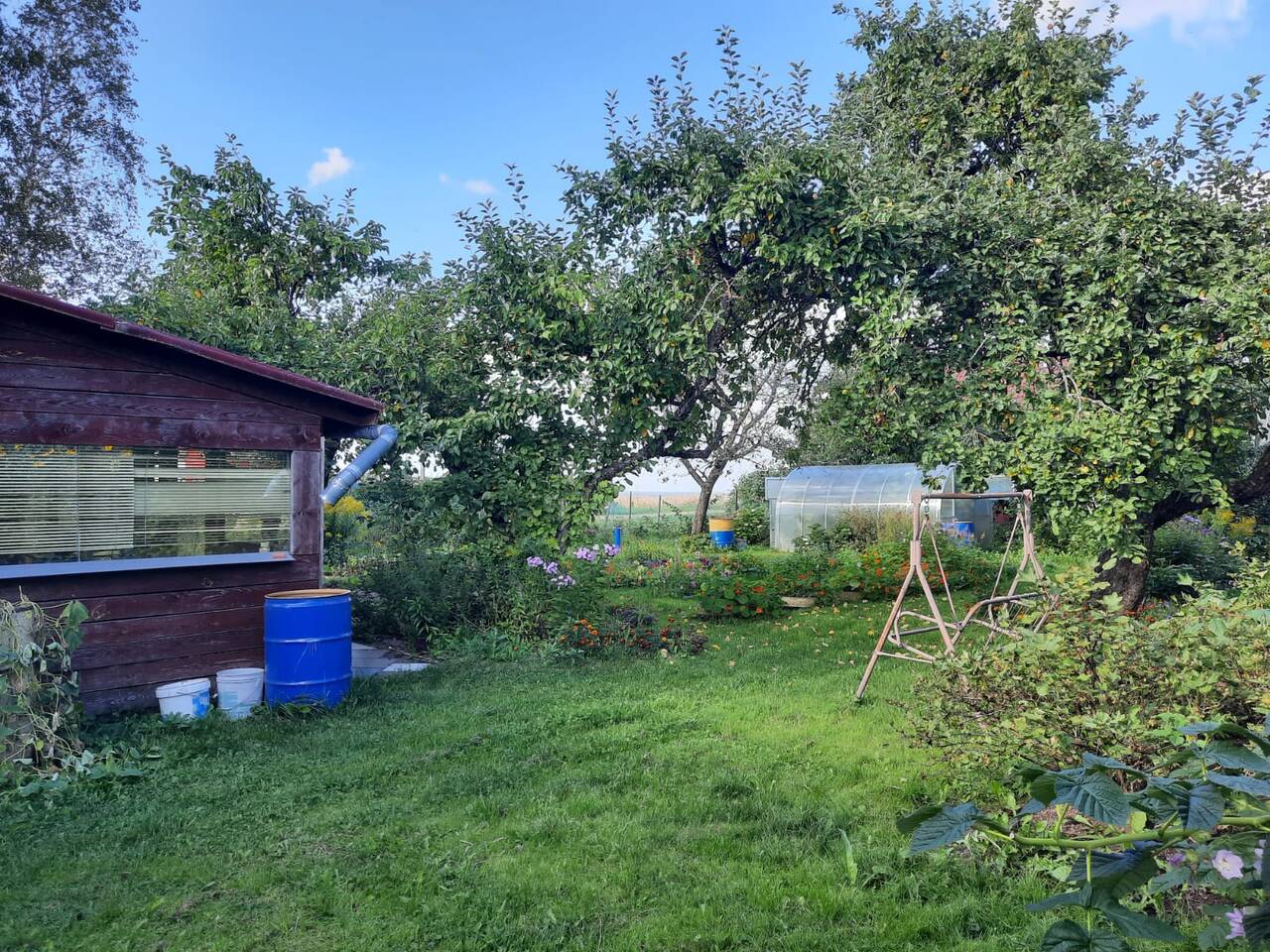 Дом 49 м2 на участке 37 сот. в Сосновом Бору фото 2 Недвижимость Сосновый Бор