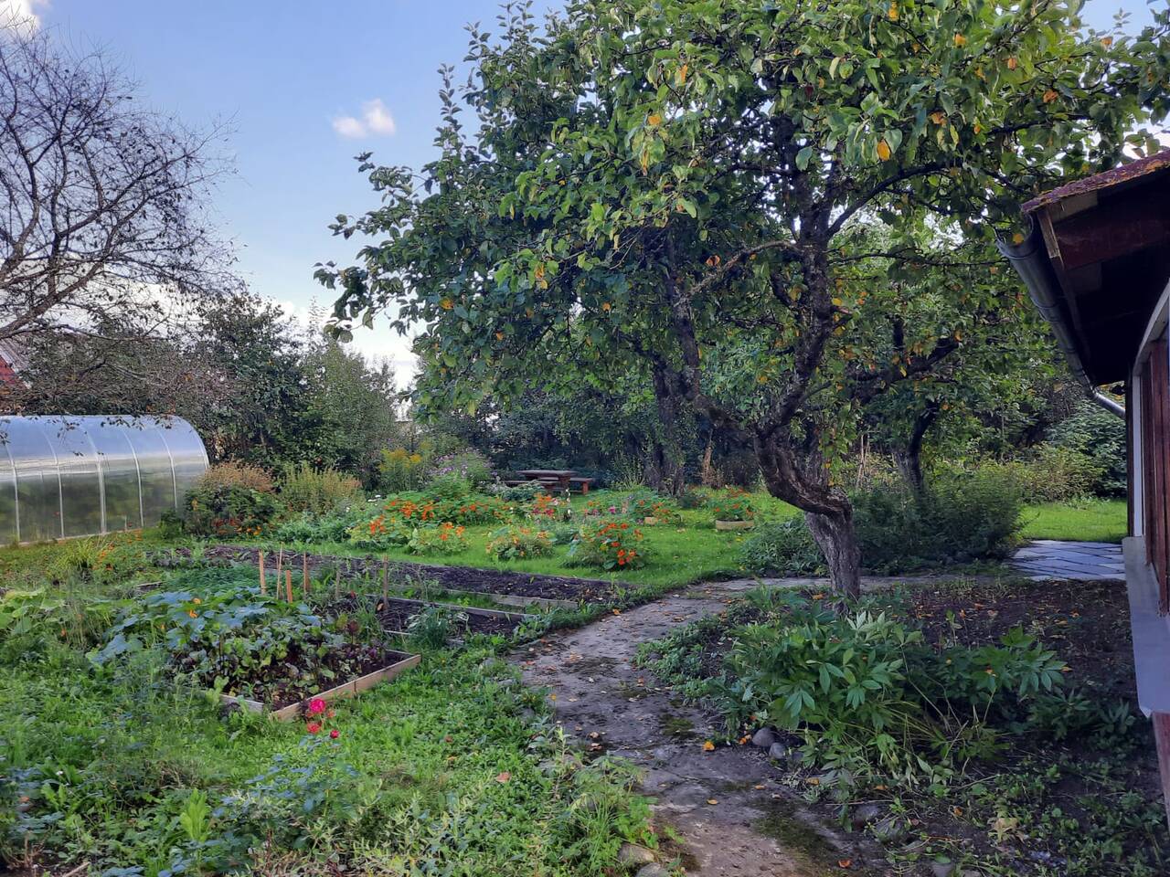 Дом 49 м2 на участке 37 сот.