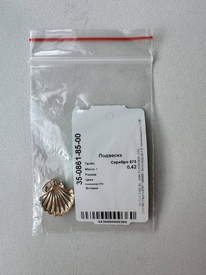 Кулон подвеска ракушка Адамас серебро позолота украшение серебряный украшения бижутерия амулет талисман морская тема в Москве фото 2 Личные вещи Москва