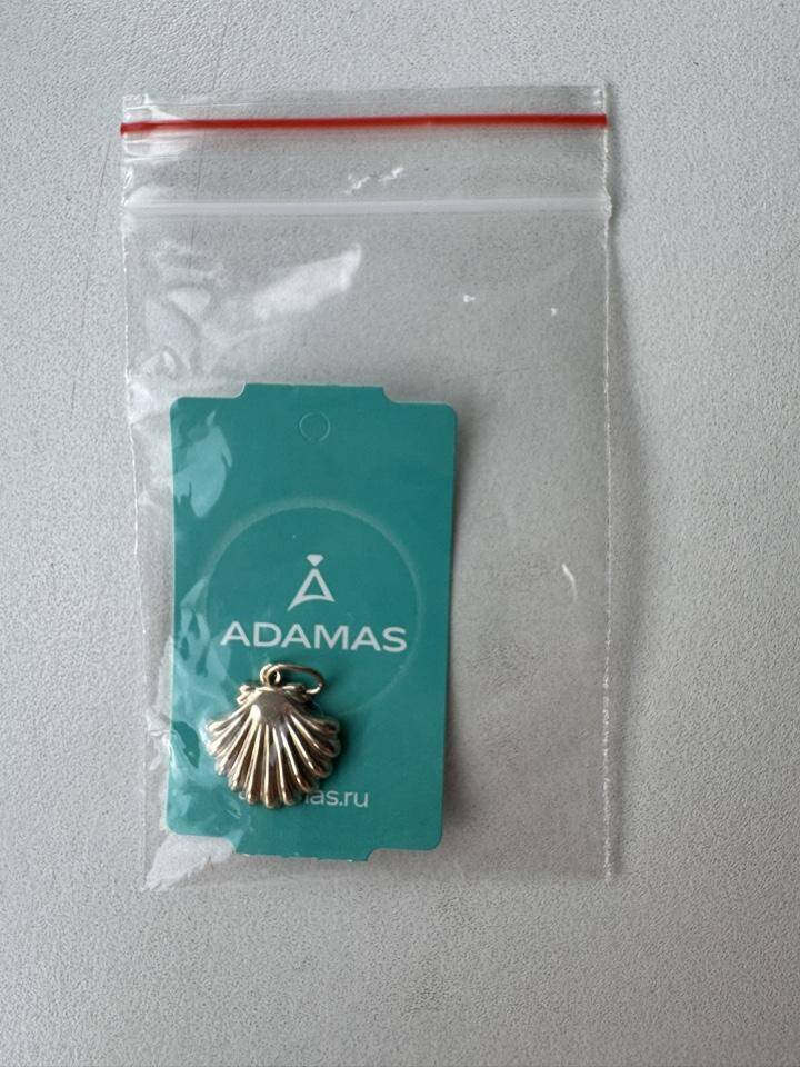 Кулон подвеска ракушка Адамас серебро позолота украшение серебряный украшения бижутерия амулет талисман морская тема