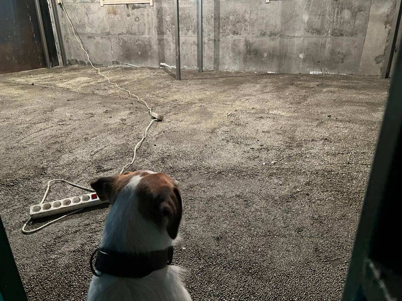 Стяжка пола сухая смесь полистиролбетона Д400 Д500 в Мытищах фото 7 Для дома и дачи Мытищи