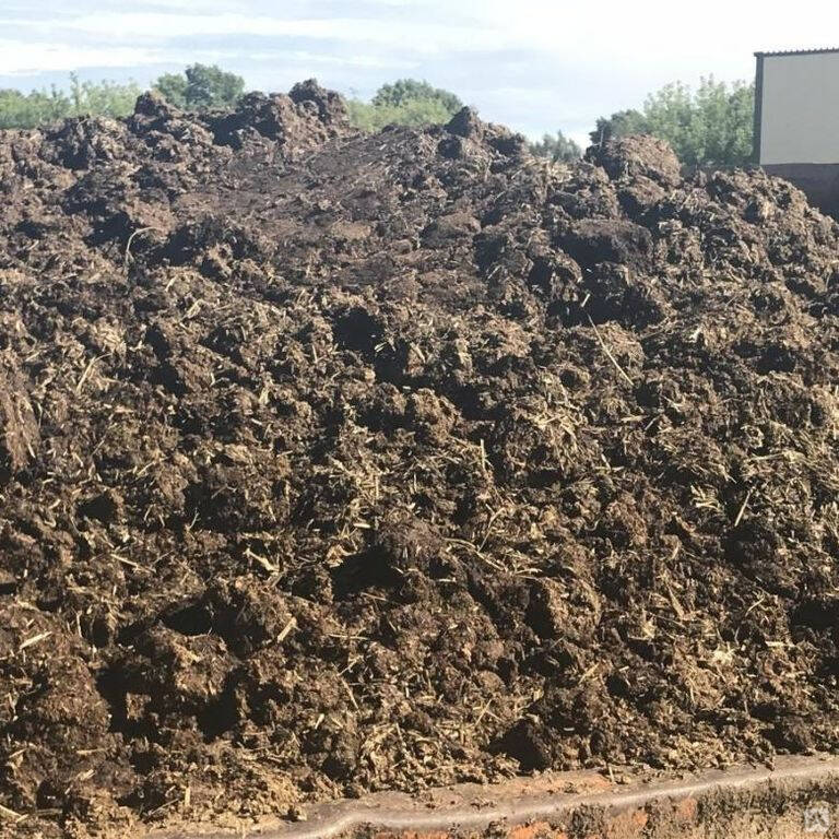 Коровий навоз навалом по Спб и ЛО