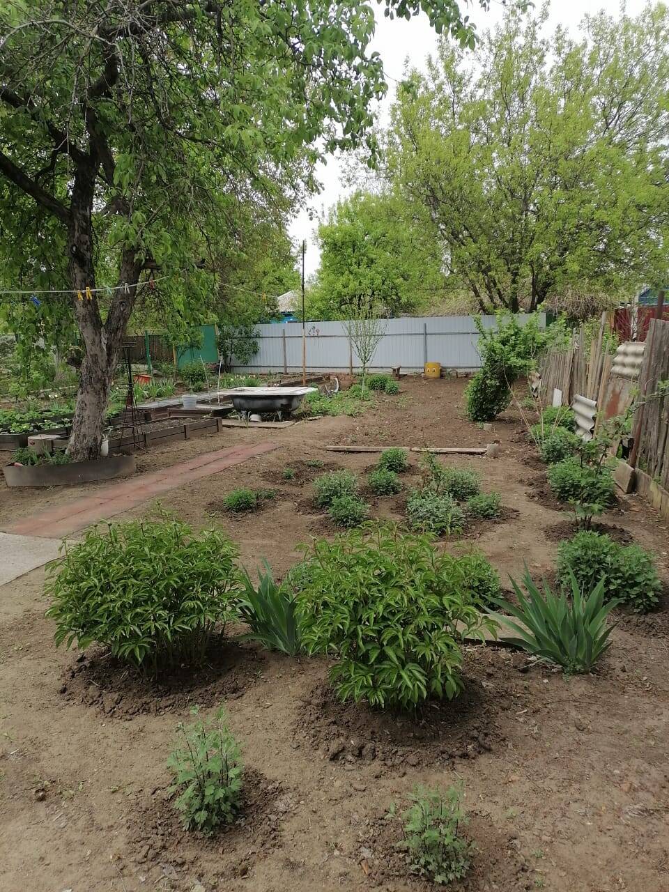 Продам Дом в Каменске-Шахтинском фото 2 Недвижимость Каменск-Шахтинский