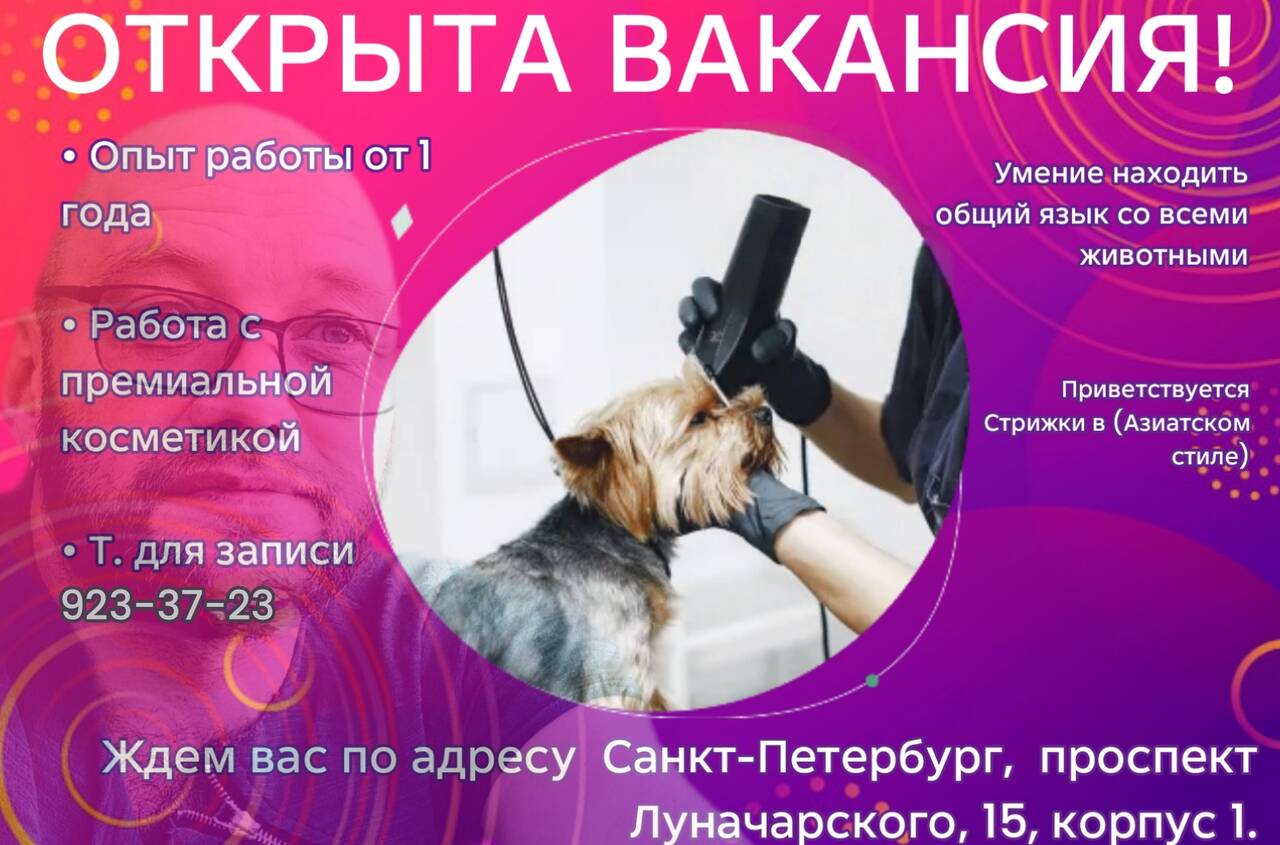 Ищем мастера-универсала, грумера в Санкт-Петербурге фото 2 Работа Санкт-Петербург
