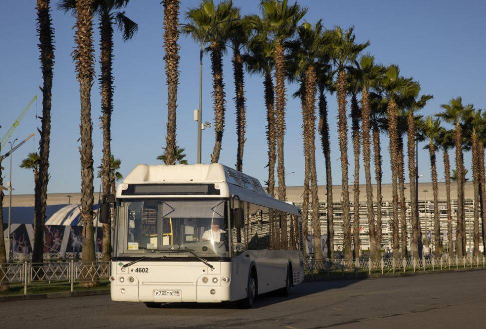 Водитель автобуса (водитель автобуса на вахту), ученик водителя