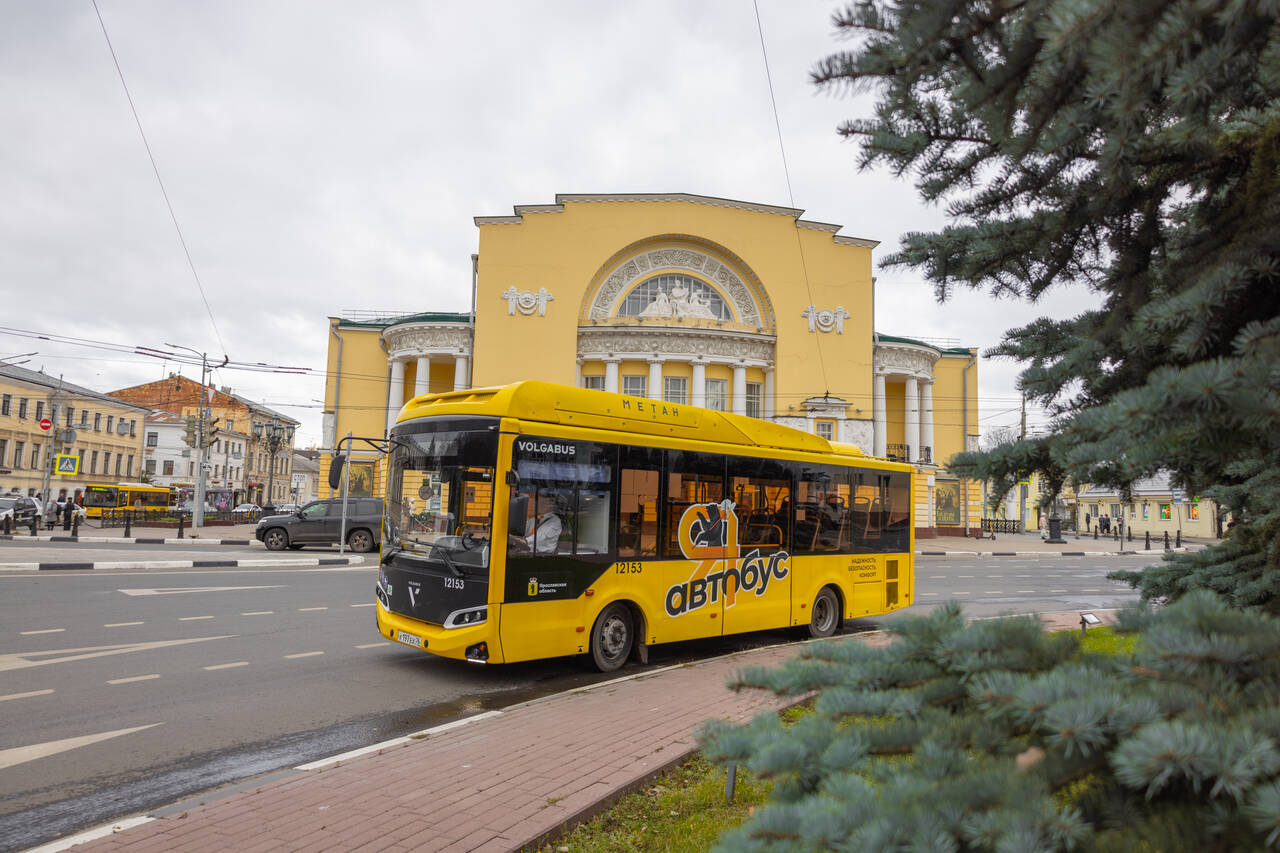 Водитель автобуса (водитель автобуса на вахту), ученик водителя в Ярославле фото 2 Работа Ярославль