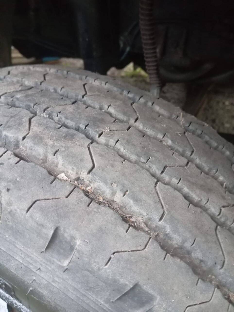 МАЗ 437040-061 продам в Тосно фото 4 Транспорт Тосно