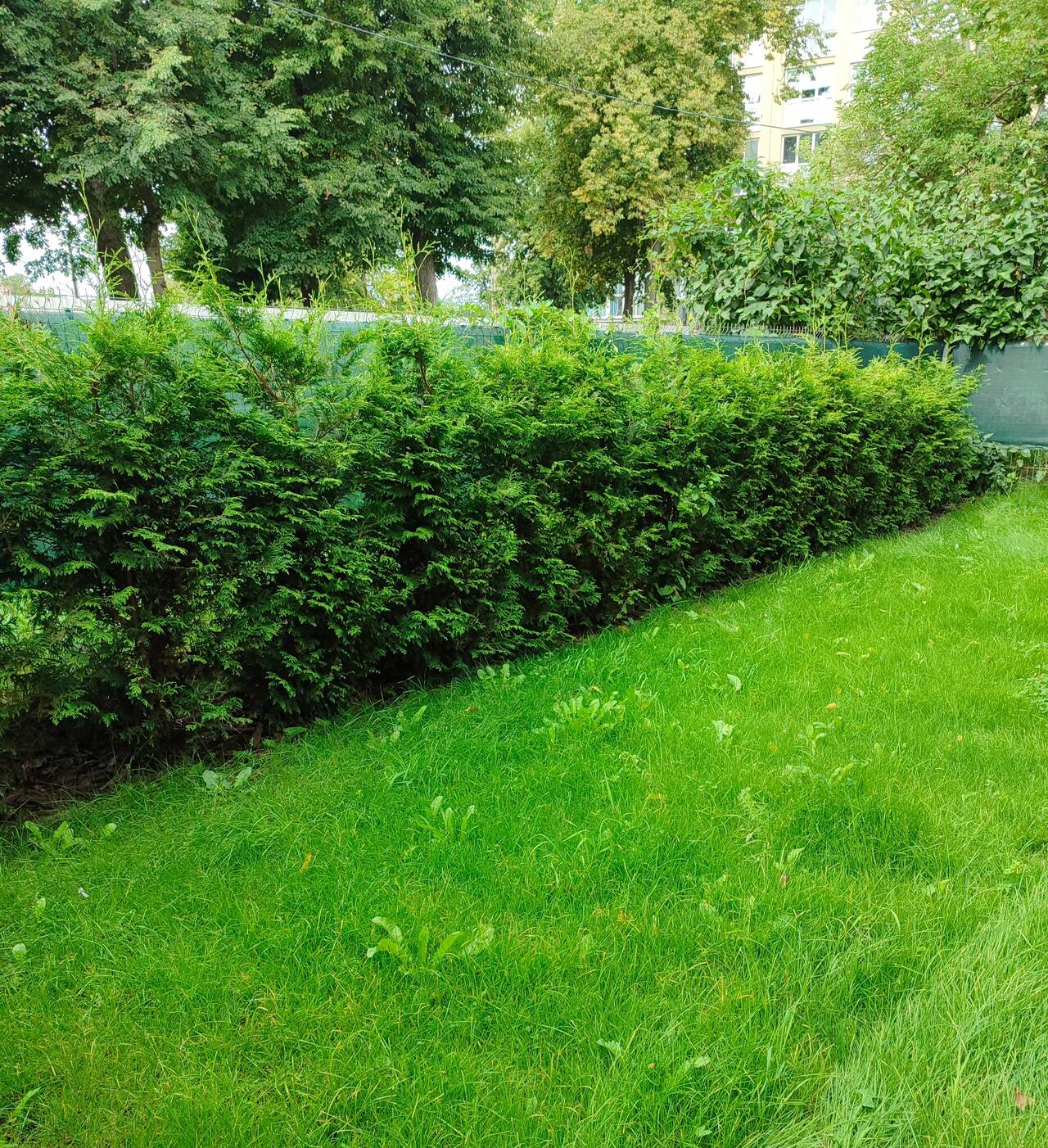 Продам квартиру в Калининграде фото 4 Недвижимость Калининград