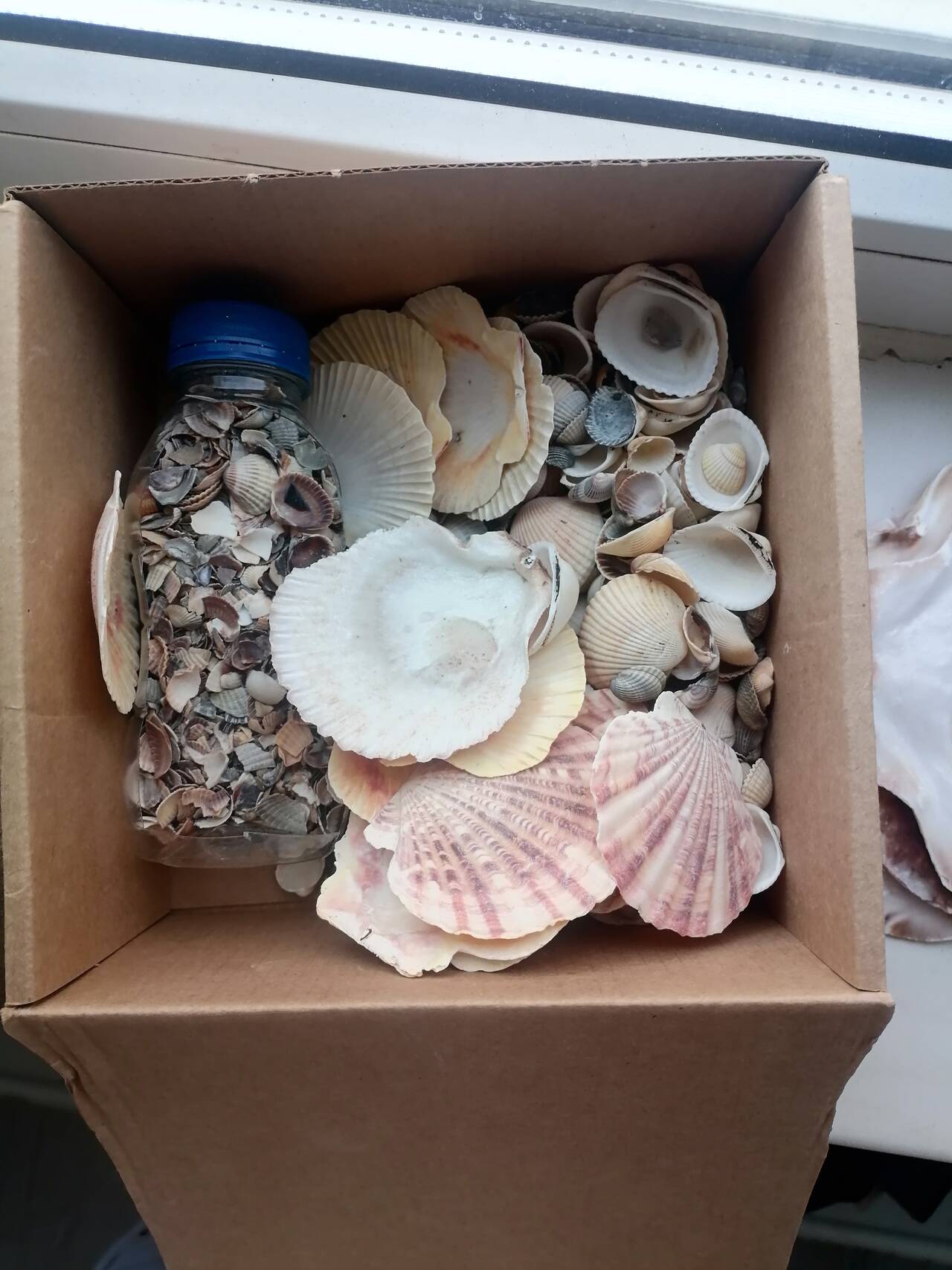 Аквариумы  в Краснодаре фото 2 Увлечения и отдых Краснодар