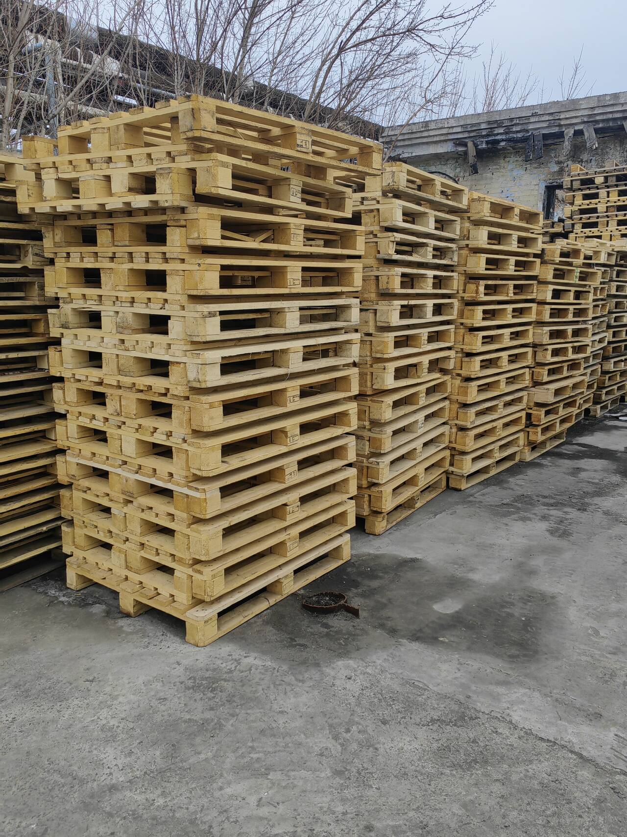 поддоны деревянные паллеты 