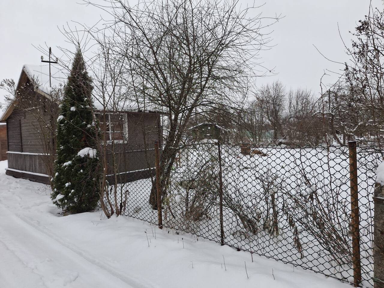 Продается земельный участок в Вологде фото 4 Недвижимость Вологда