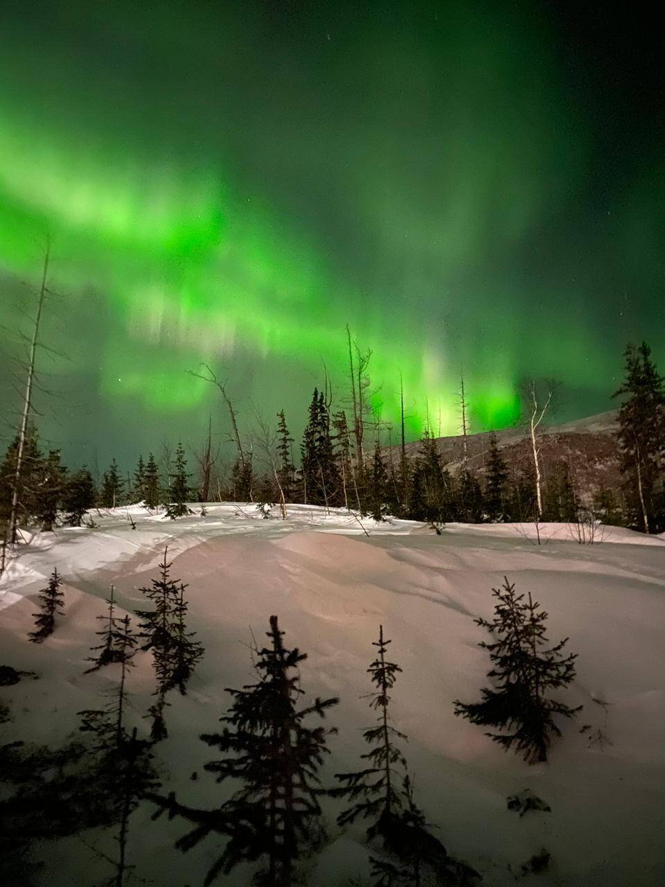 Sitrak howo Faw Shacman hongyan foton dong feng запчасти в Туле фото 2 Транспорт Тула