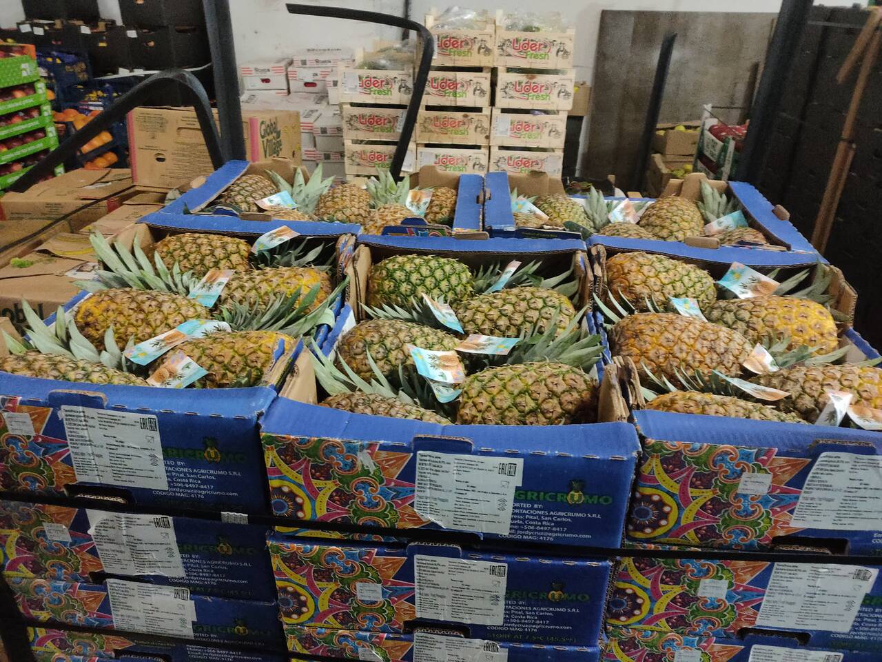 Доставка овище и фрукты, продукты питания  в Санкт-Петербурге фото 4 Продукты питания Санкт-Петербург