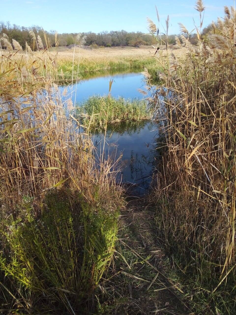 сдается долгосрочная аренда пашни 43 га