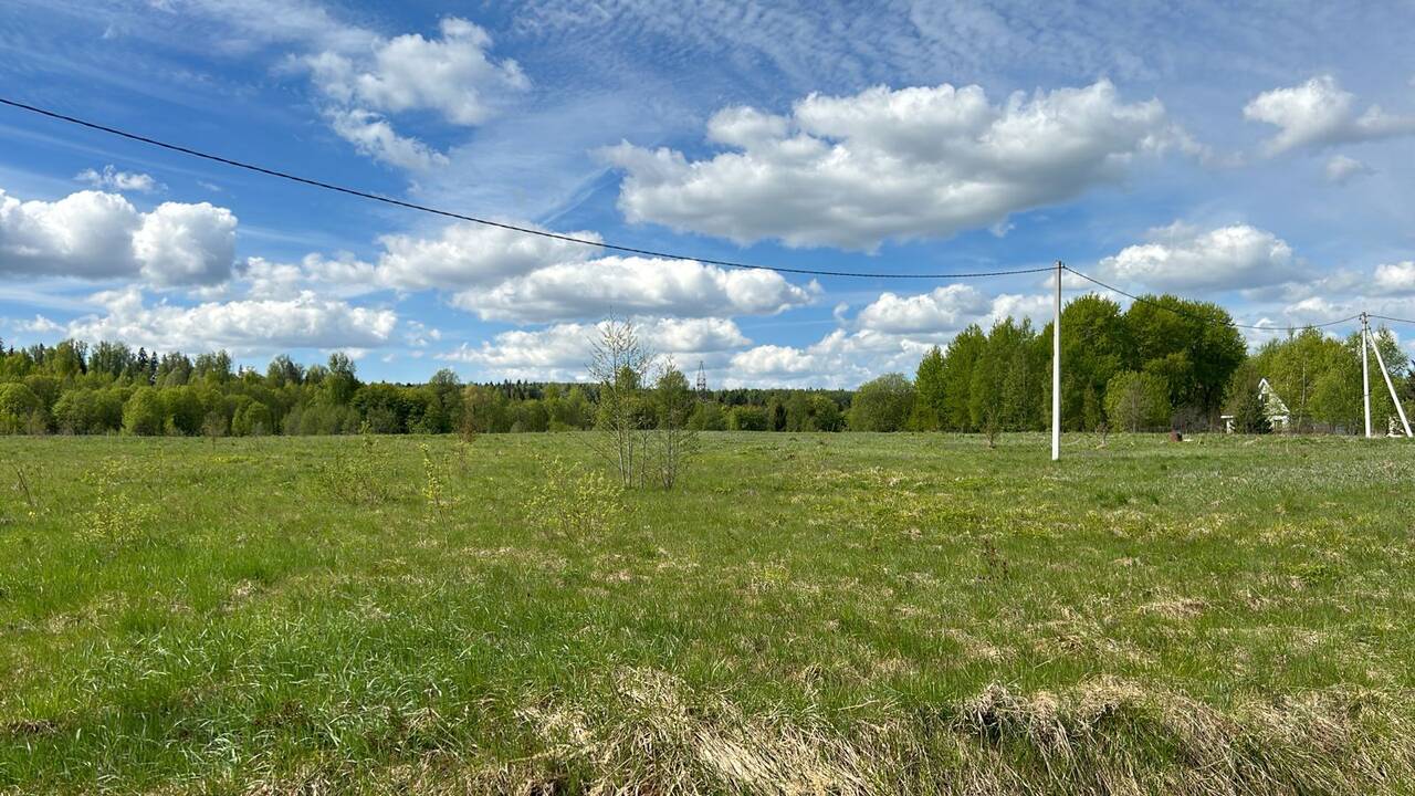 Продам землю 6,2 га в Солнечногорске фото 7 Недвижимость Солнечногорск Продам землю 6,2 га в Солнечногорске фото 7 Недвижимость Солнечногорск
