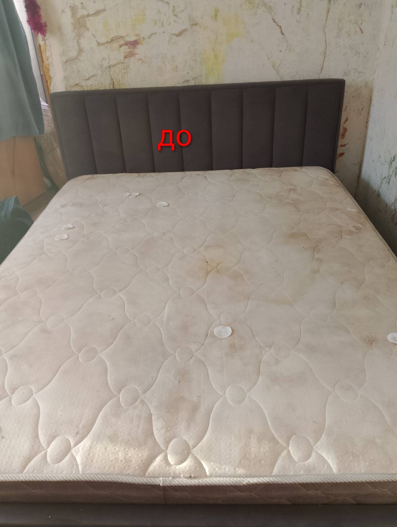 Выездная химчистка мягкой мебели: ХимчистМАХ 