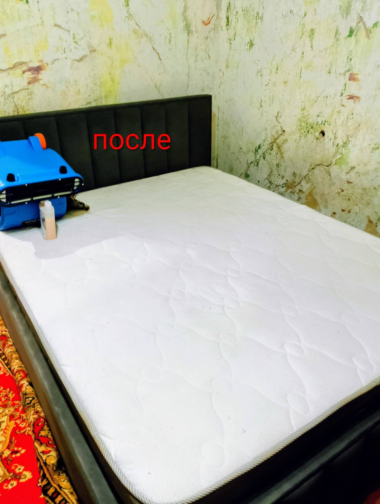 Выездная химчистка мягкой мебели: ХимчистМАХ  в Каменске-Уральском фото 2 Услуги Каменск-Уральский