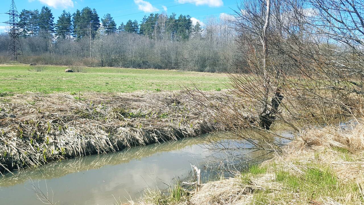 Участок 533 сотки в Приозерске фото 4 Недвижимость Приозерск