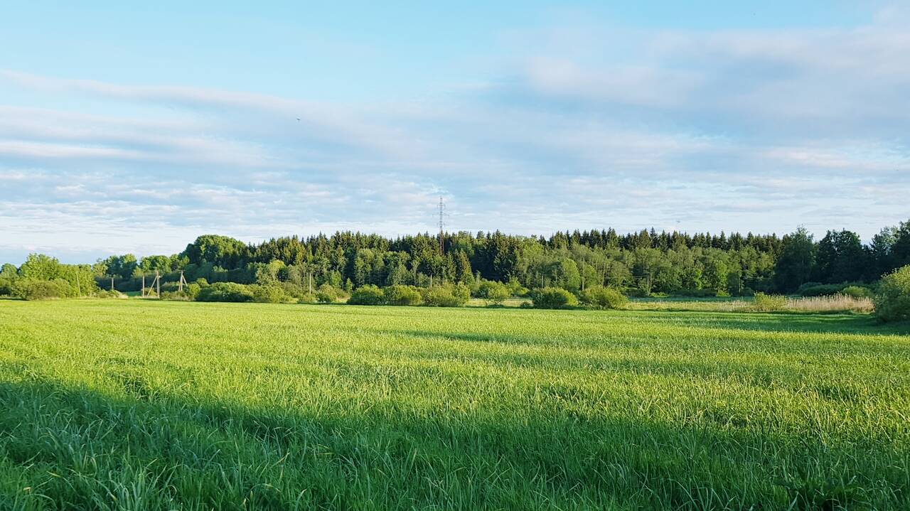 Участок 533 сотки Участок 533 сотки