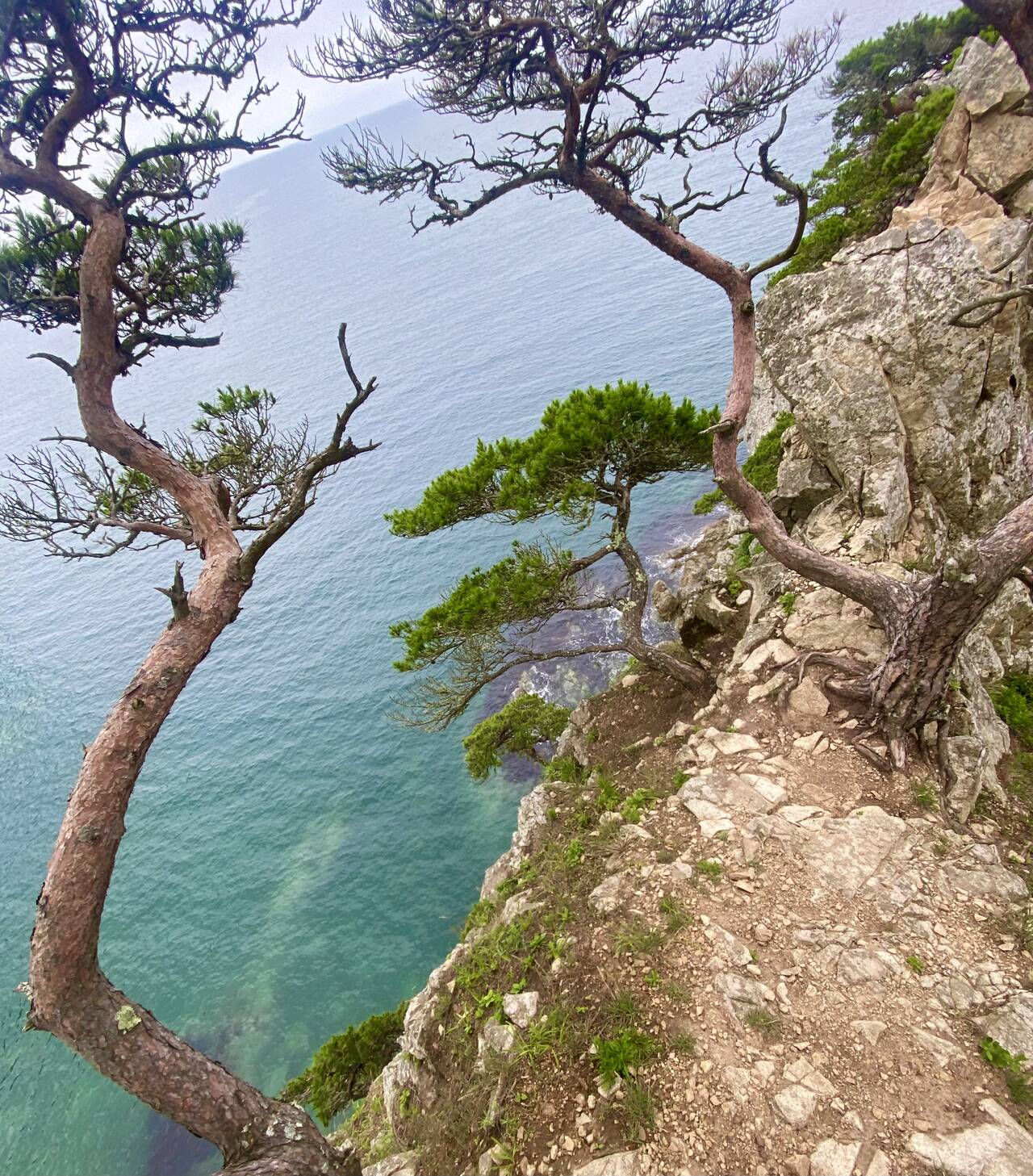 База отдыха на берегу Японского моря во Владивостоке фото 2 Увлечения и отдых Владивосток