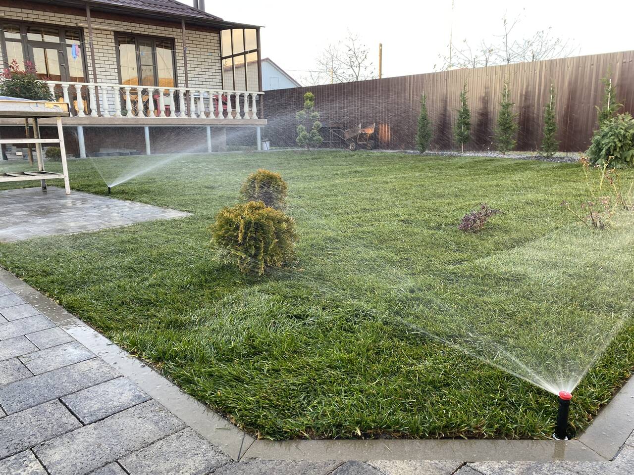 Рулонный газон в Сочи фото 5 Для дома и дачи Сочи