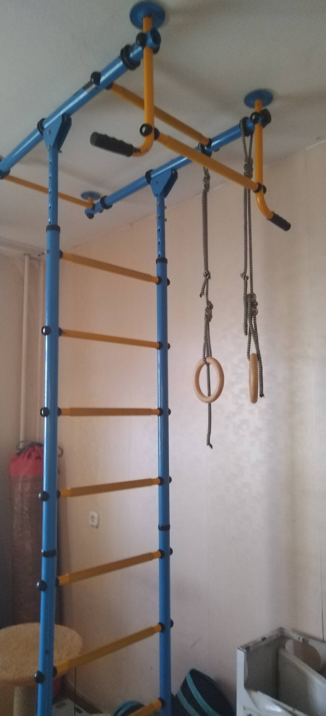 Детский спортивный комплекс (шведская стенка, турник, кольца) Детский спортивный комплекс (шведская стенка, турник, кольца)