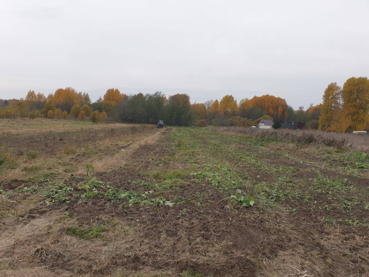 Продам участок в п Барышево в Выборге фото 3 Недвижимость Выборг Продам участок в п Барышево в Выборге фото 3 Недвижимость Выборг