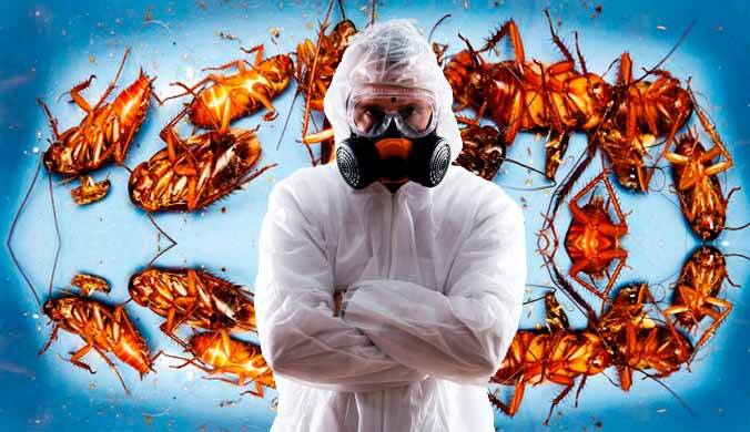 Уничтожение насекомых Уничтожение насекомых