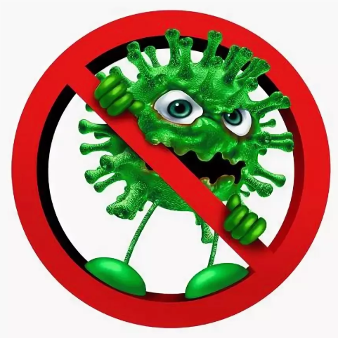 Уничтожение плесени Уничтожение плесени