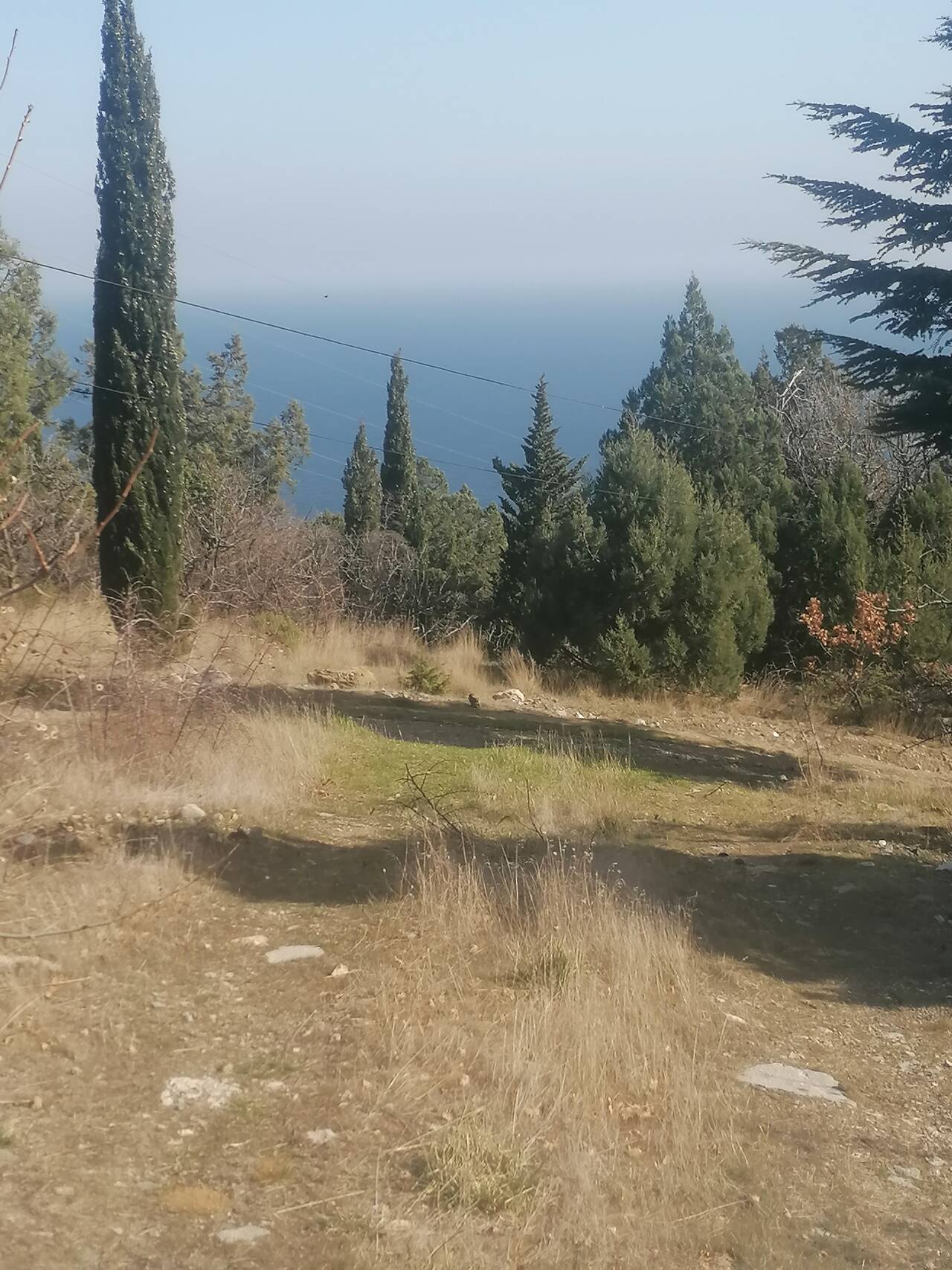 Продам видовой участок в Форосе