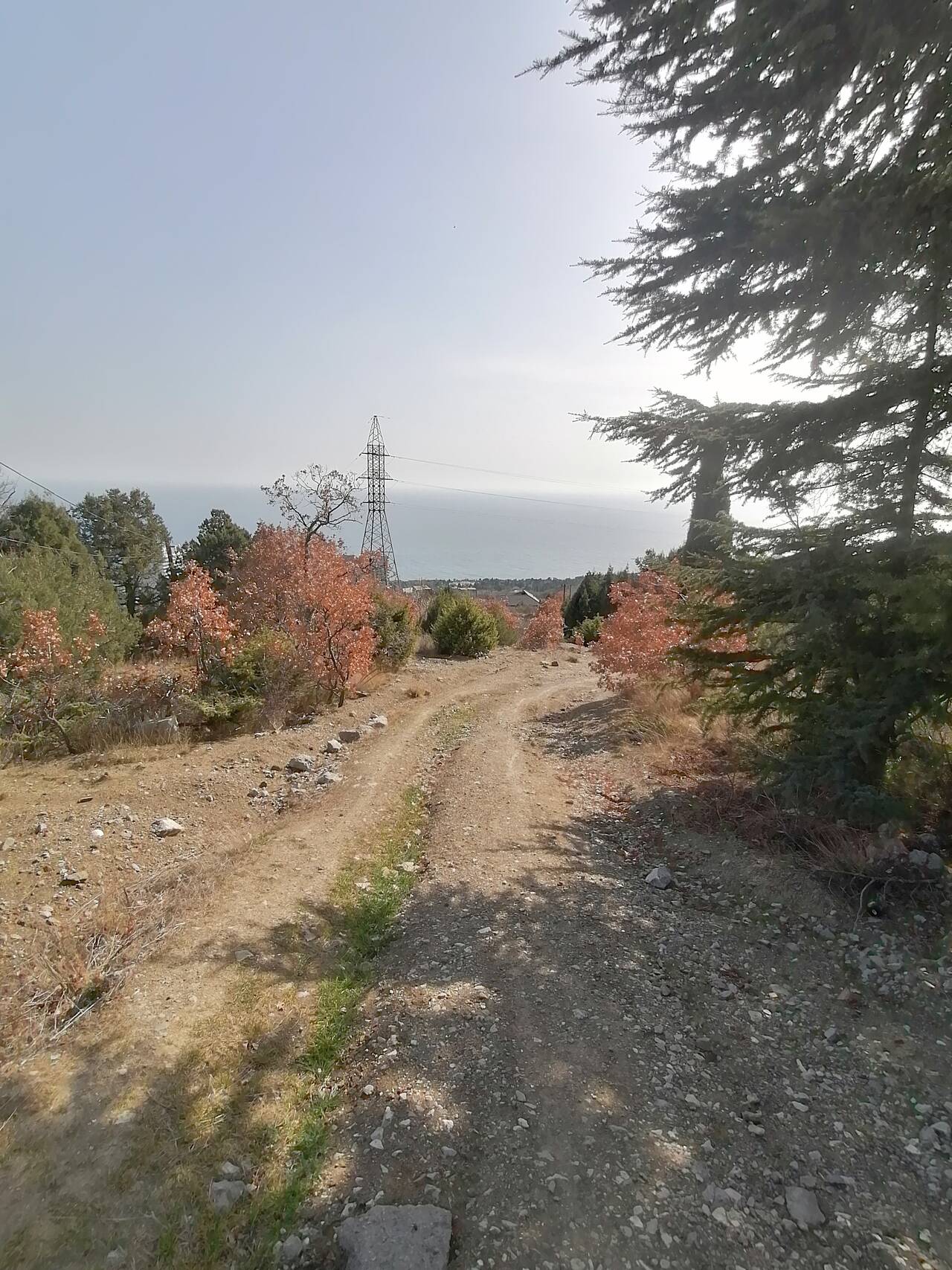 Продам видовой участок в Форосе в Ялте фото 4 Недвижимость Ялта