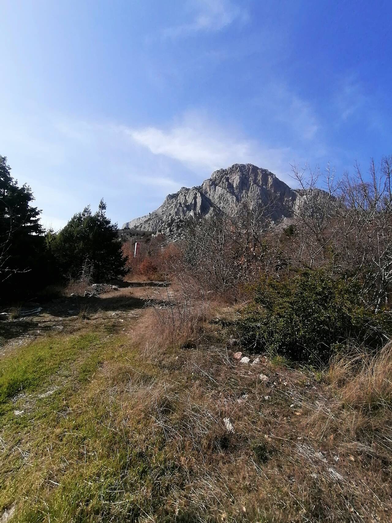 Продам видовой участок в Форосе в Ялте фото 2 Недвижимость Ялта