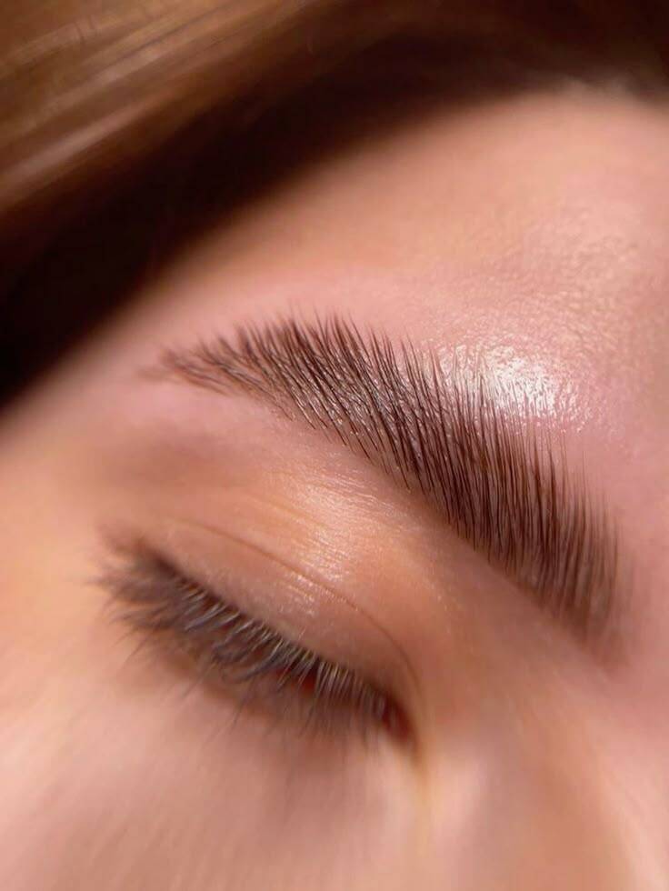 Бровист Краснодар. Брови окрашивание, коррекция, восстанавление, ламинирование в Краснодаре фото 3 Услуги Краснодар