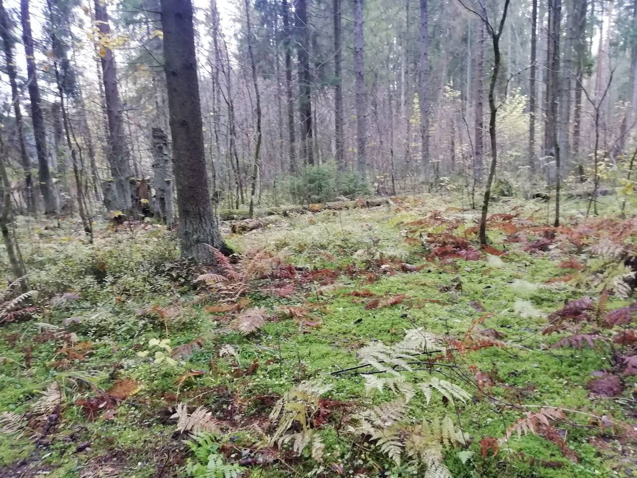 Перспективная квартира, 51 км от СП-Б в Гатчине фото 5 Недвижимость Гатчина