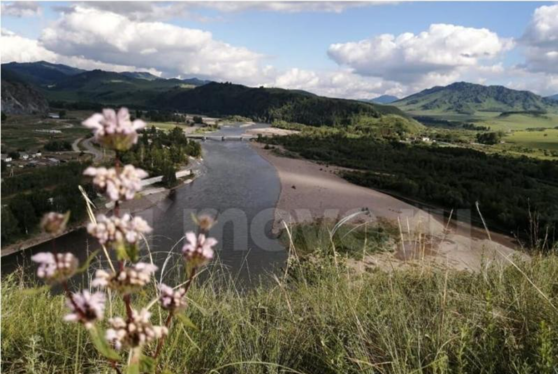 Продаю землю — &nbsp;1,6 га ИЖС (40 участков , по 4 сотки каждый) в Барнауле фото 5 Недвижимость Барнаул