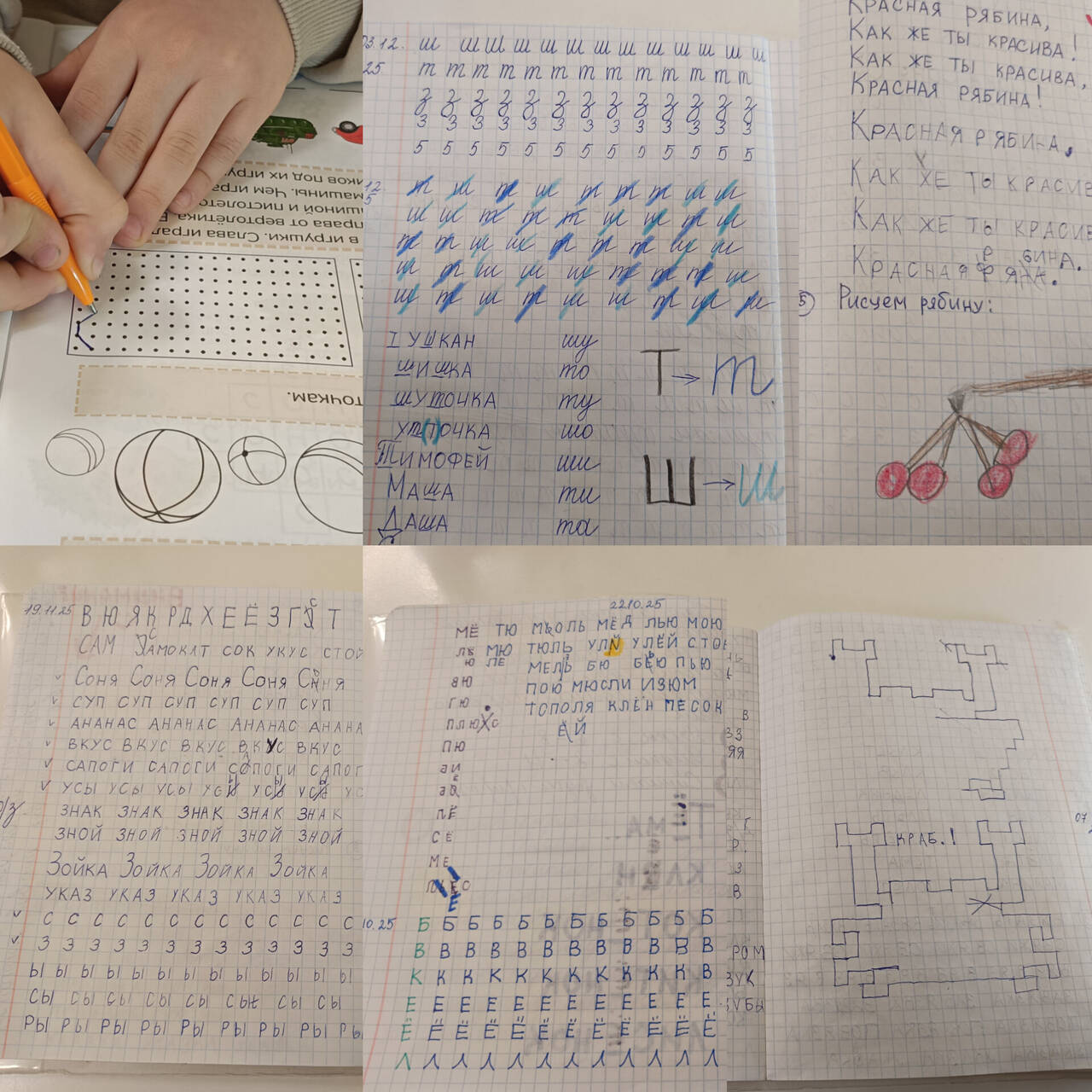 Логопед в Балашихе фото 6 Услуги Балашиха