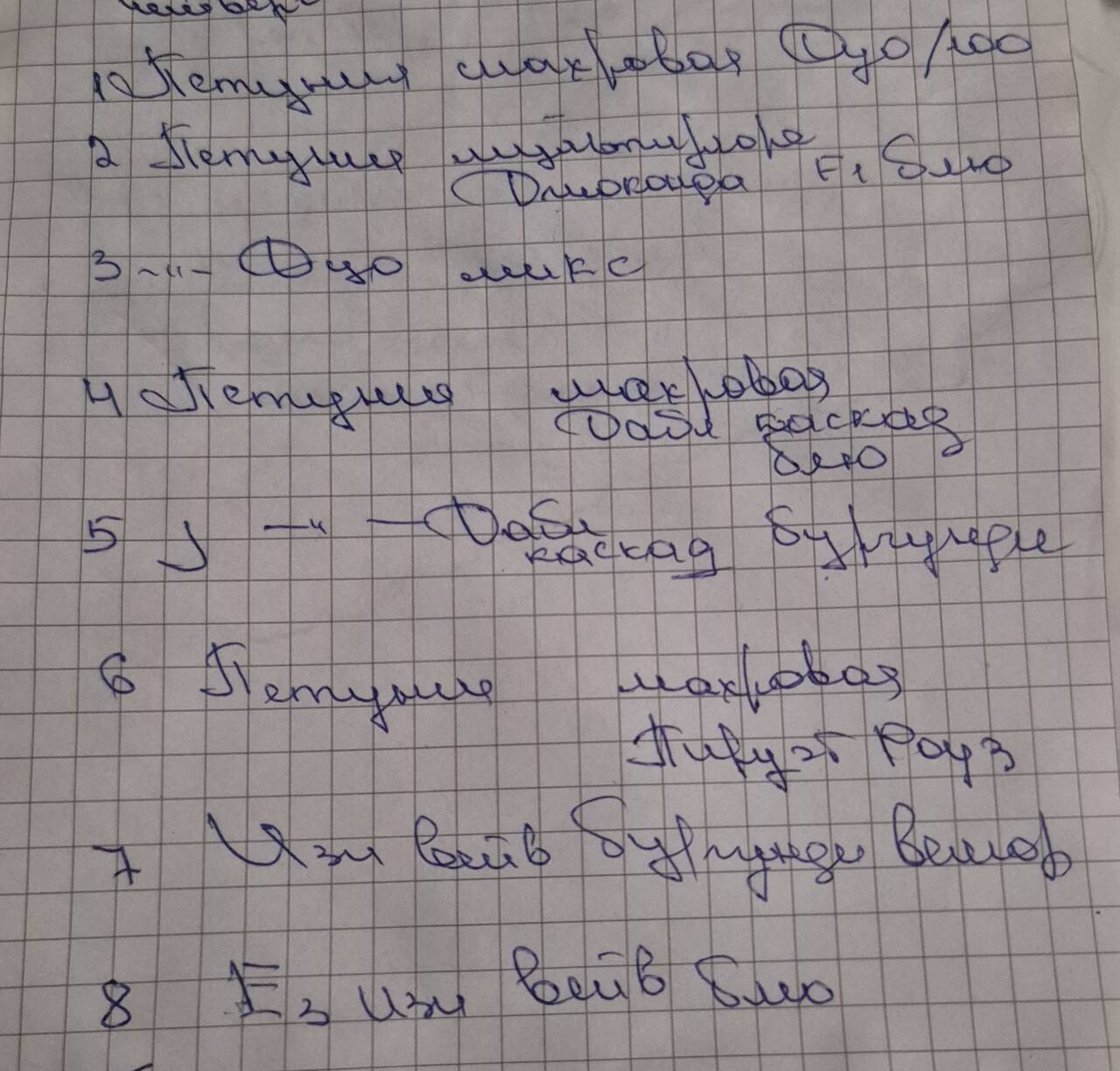 Петунии рассада в Москве фото 3 Для дома и дачи Москва