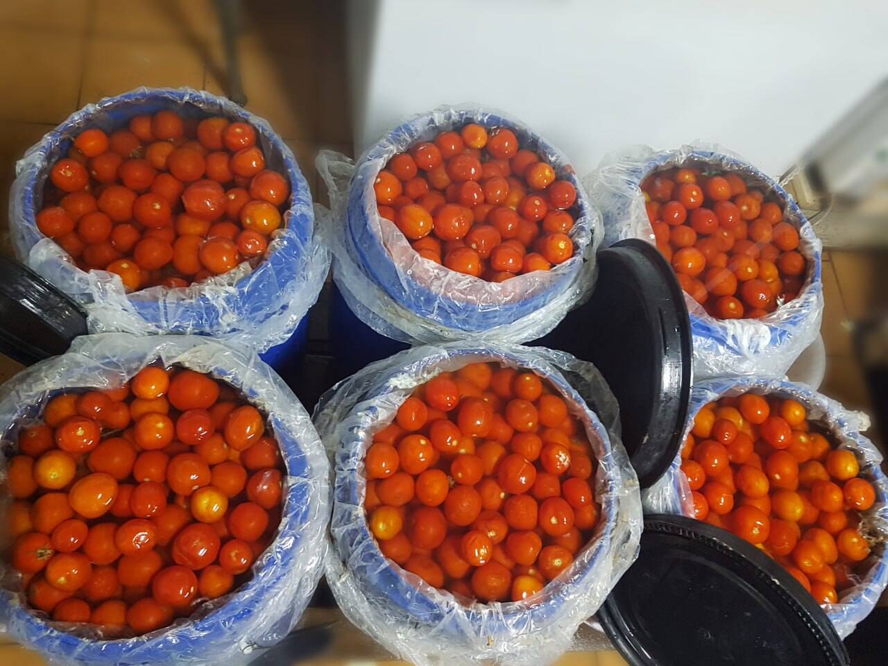 Солёные овощи оптом в Кургане фото 5 Продукты питания Курган