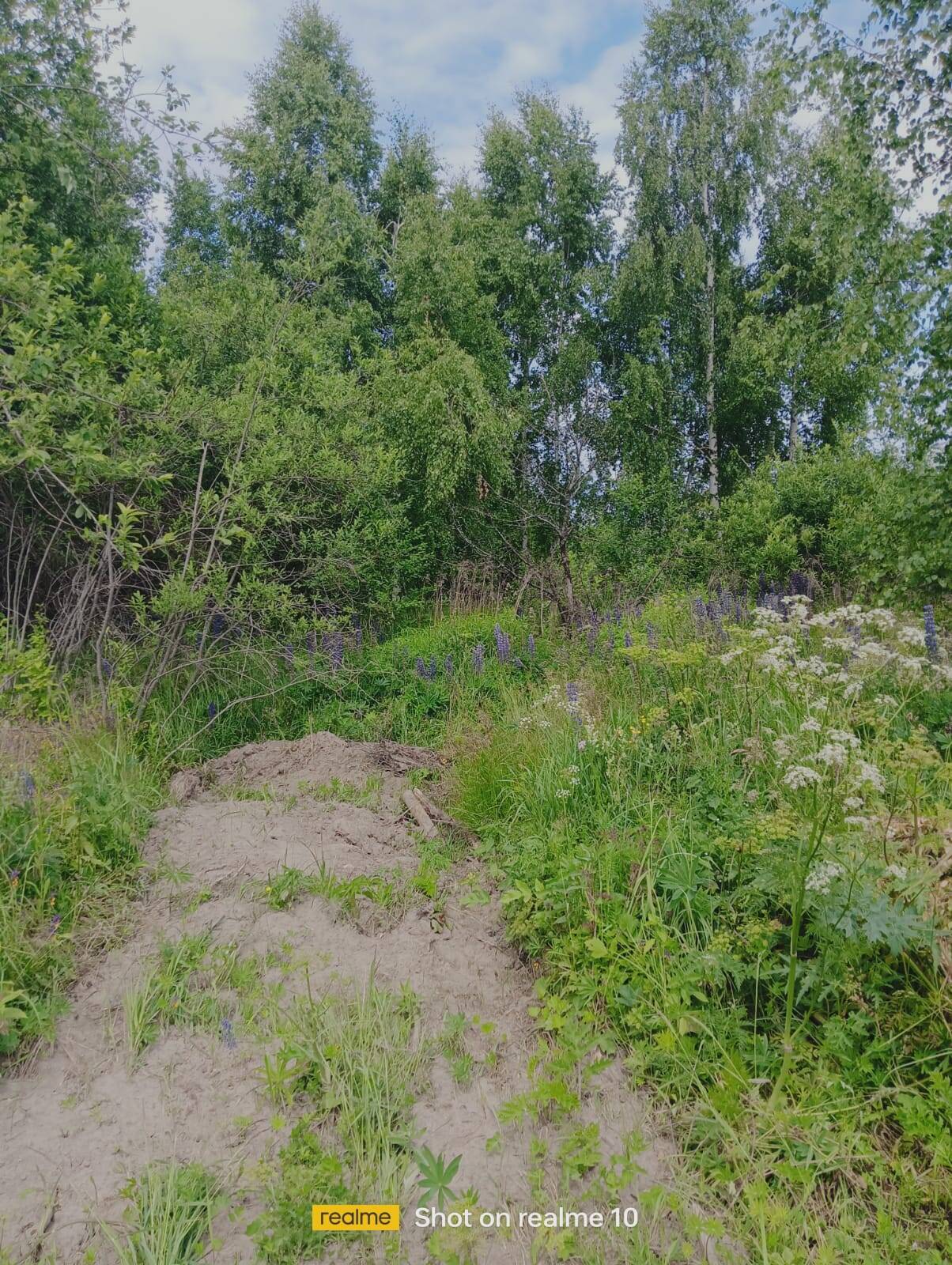 Продаю участок 20 соток в Нижнем Новгороде фото 4 Недвижимость Нижний Новгород