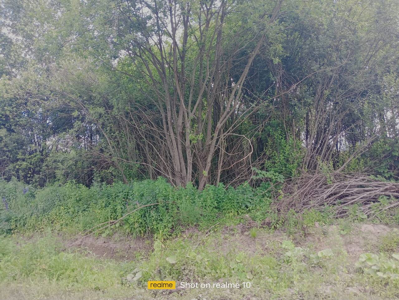 Продаю участок 20 соток в Нижнем Новгороде фото 2 Недвижимость Нижний Новгород