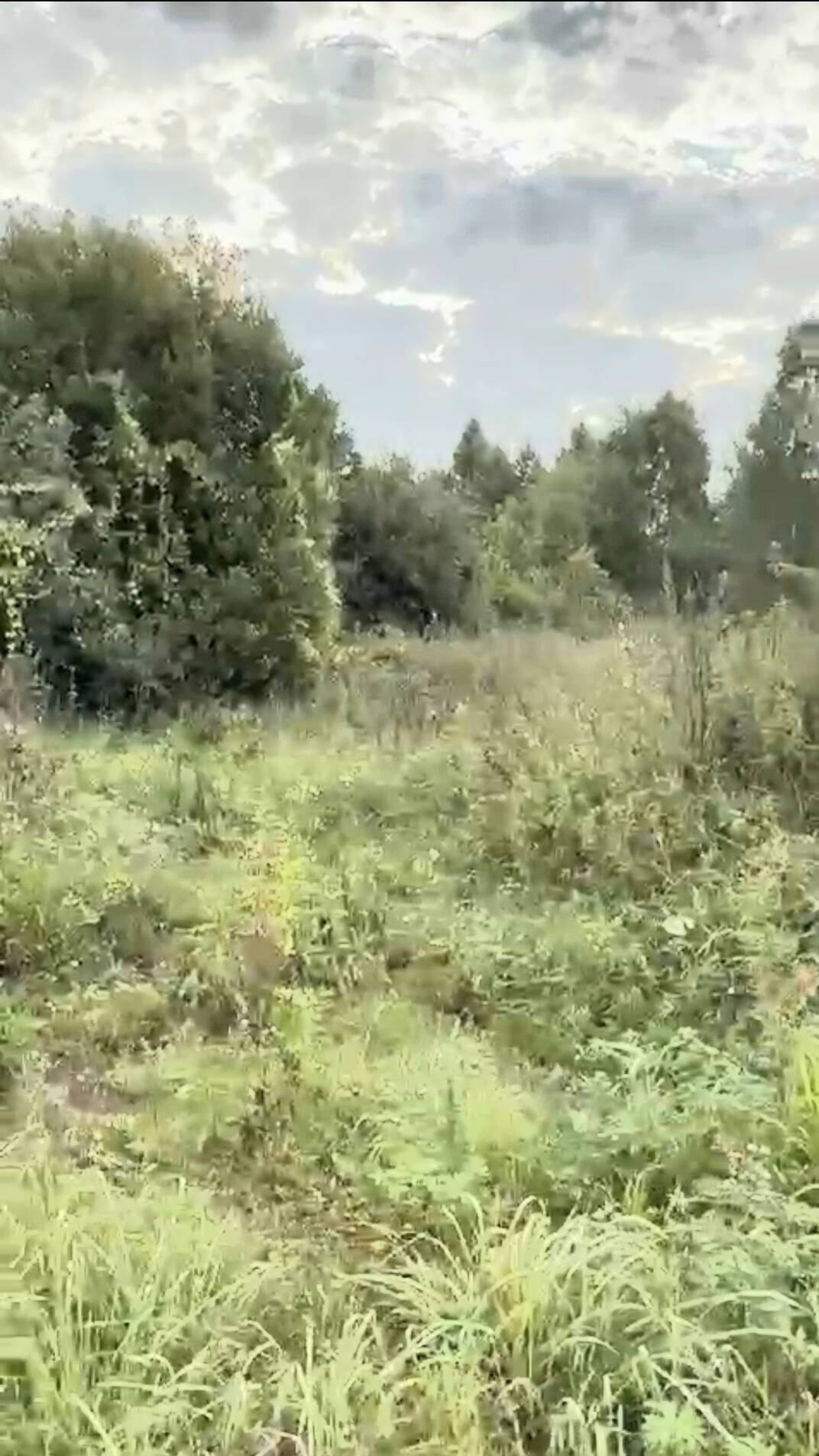 Продаю участок 20 соток в Нижнем Новгороде фото 5 Недвижимость Нижний Новгород