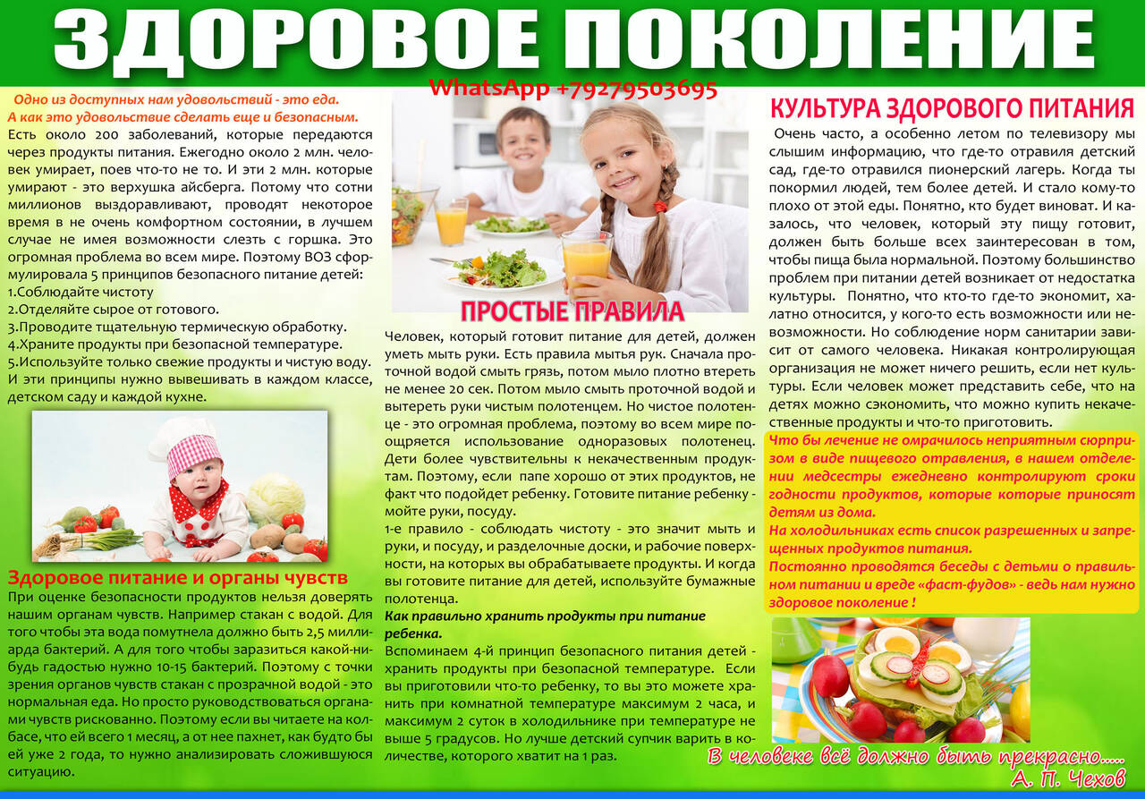 Санитарный бюллетень (Санбюллетень) за 1 час в Уфе фото 3 Услуги Уфа