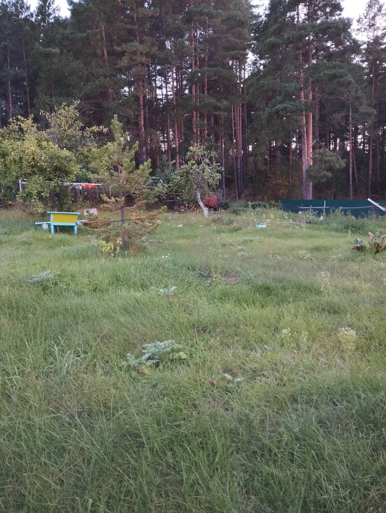 Продам земельный участок в Нижнекамске фото 4 Недвижимость Нижнекамск Продам земельный участок в Нижнекамске фото 4 Недвижимость Нижнекамск