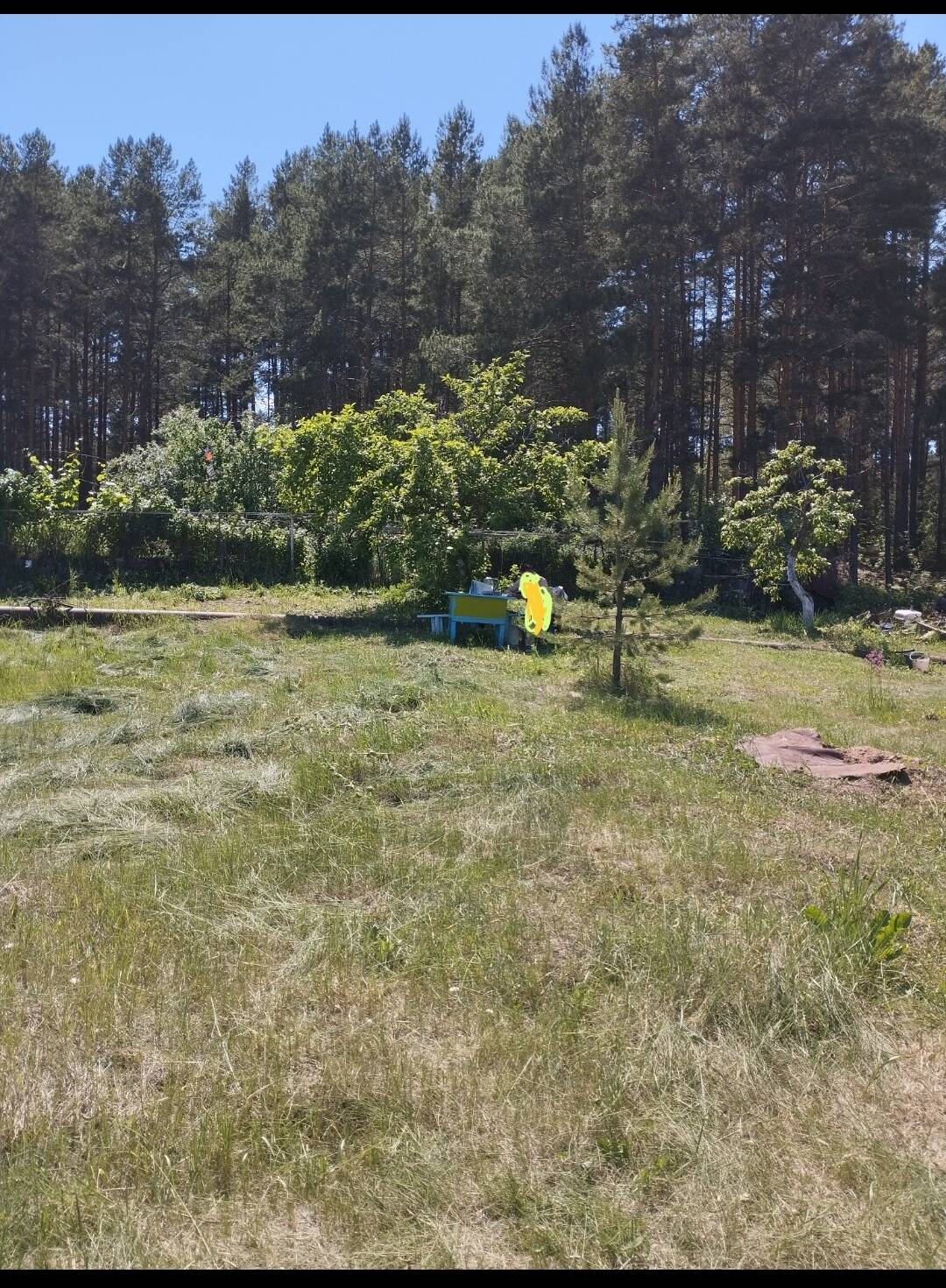 Продам земельный участок в Нижнекамске фото 6 Недвижимость Нижнекамск Продам земельный участок в Нижнекамске фото 6 Недвижимость Нижнекамск