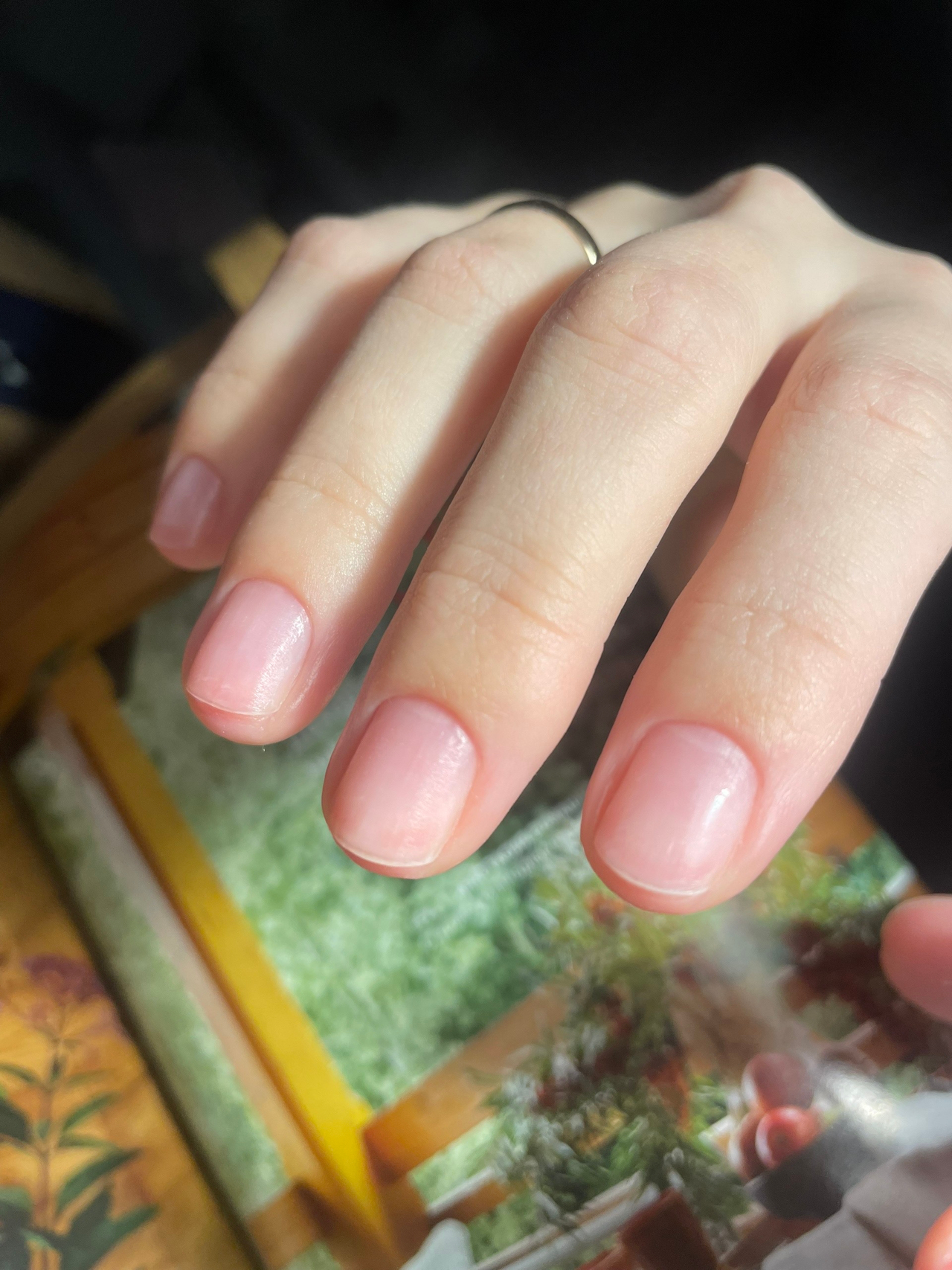 Маникюр, наращивание во Всеволожске фото 4 Услуги Всеволожск Маникюр, наращивание во Всеволожске фото 4 Услуги Всеволожск