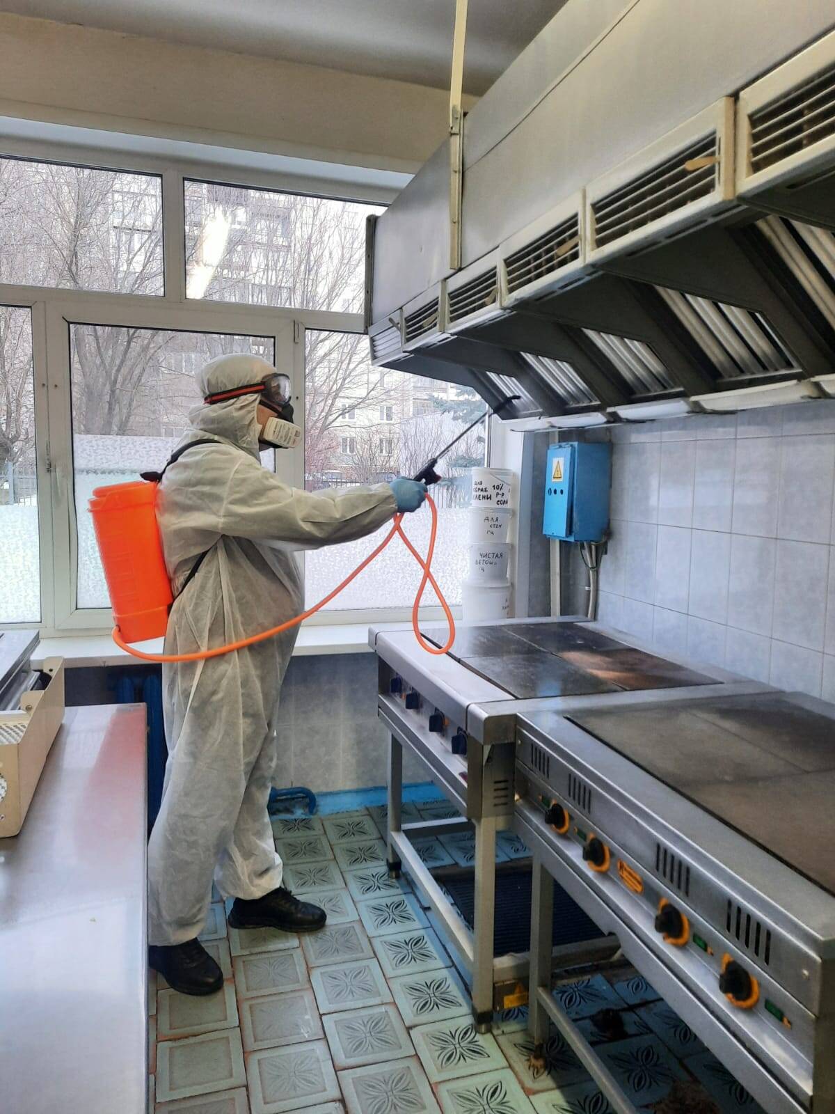 Уничтожение насекомых,клопов,тараканов,мышей. в Королёве фото 2 Услуги Королёв