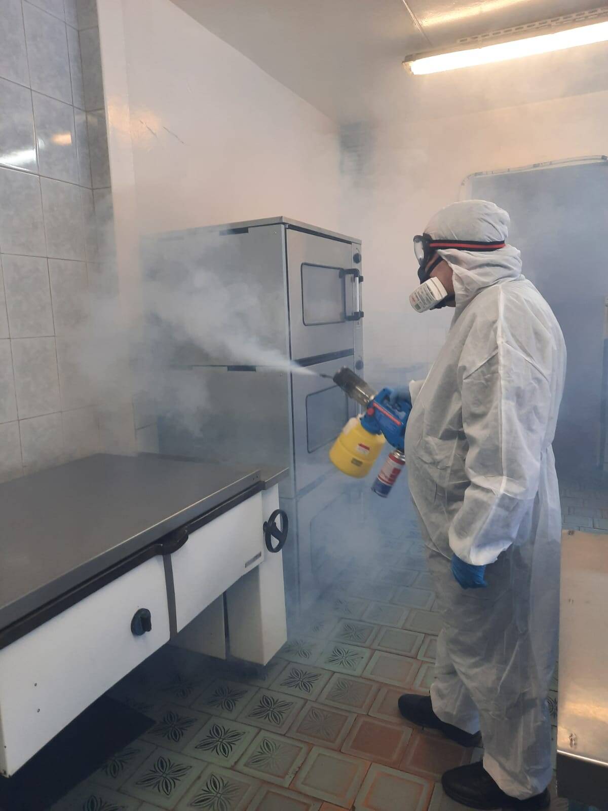 Уничтожение насекомых,клопов,тараканов,мышей.