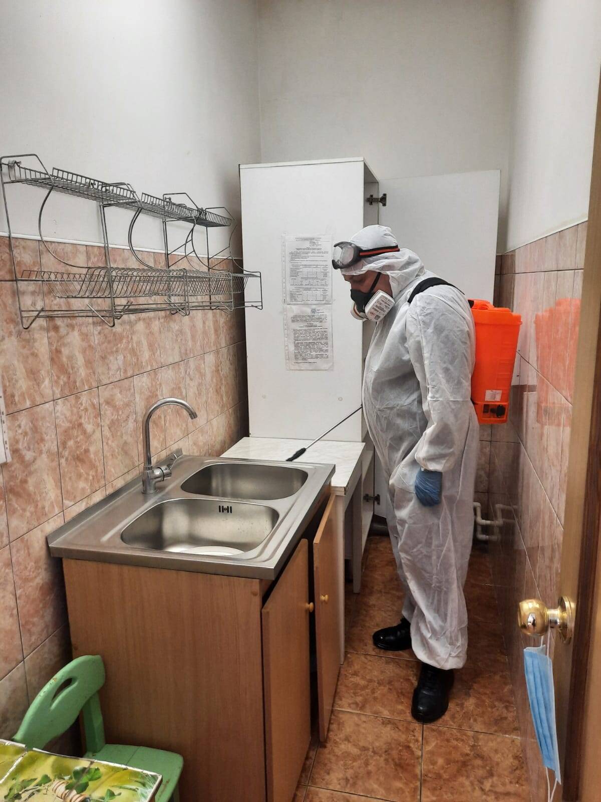 Уничтожение насекомых,клопов,тараканов,мышей. в Королёве фото 3 Услуги Королёв