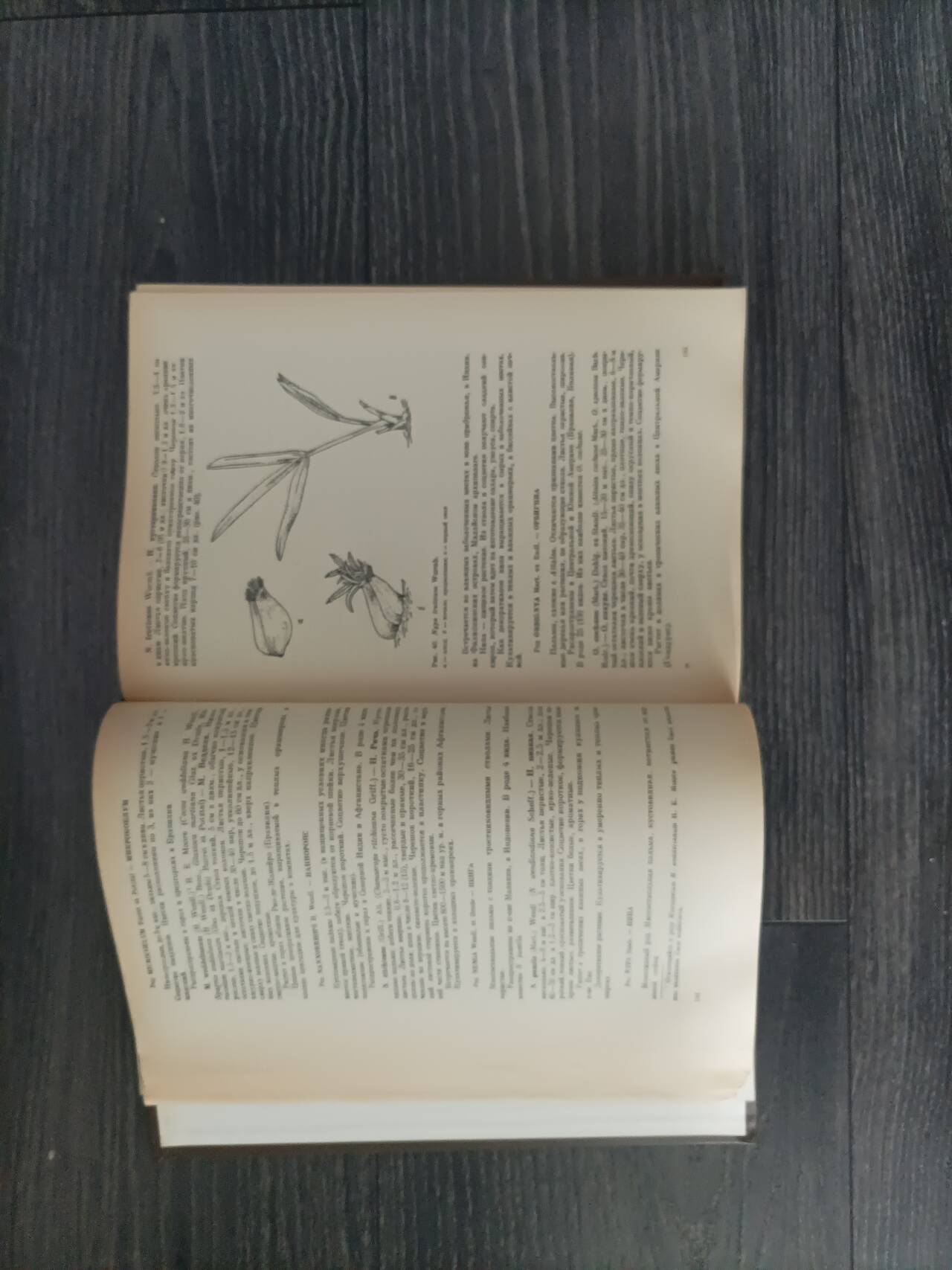 Книга "Оранжерейные растения" в Казани фото 2 Увлечения и отдых Казань