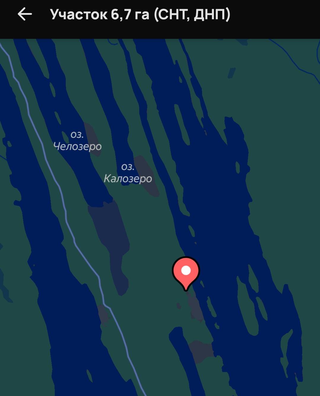 💎 ЛИЧНОЕ ПОМЕСТЬЕ ИЛИ ИНВЕСТ-ПРОЕКТ: 6.7 ГА В КАРЕЛИИ:  в Медвежьегорске фото 5 Недвижимость Медвежьегорск